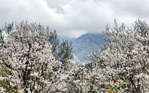 راهنمای سفر به استان مرکزی